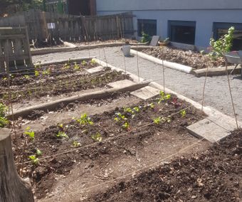 Die ersten Beete sind fertig.
